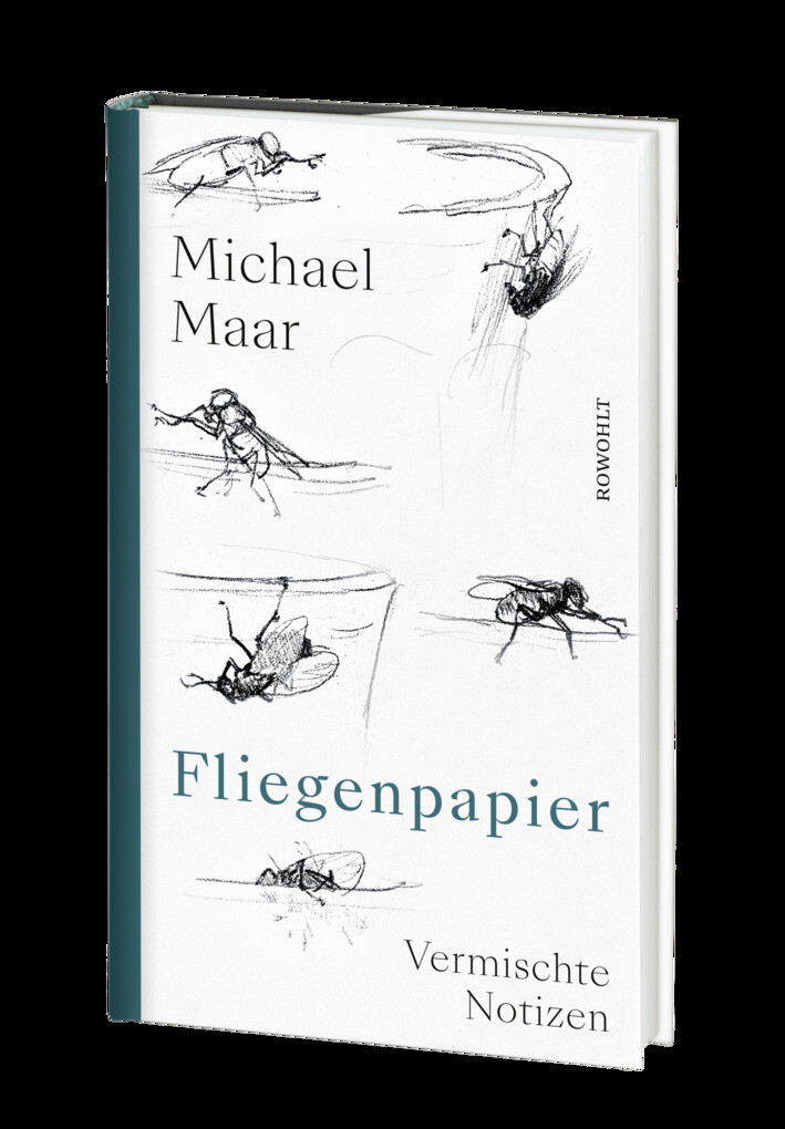 Weitere Ansicht: Fliegenpapier | Michael Maar