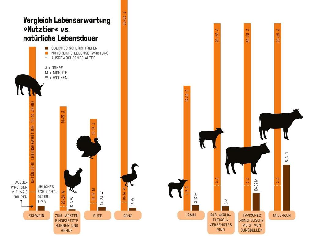Weitere Ansicht: Tiere wollen leben! | Hilal Sezgin