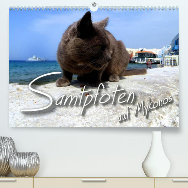 SAMTPFOTEN auf Mykonos (Premium, hochwertiger DIN A2 Wandkalender 2023, Kunstdruck in Hochglanz) als Kalender