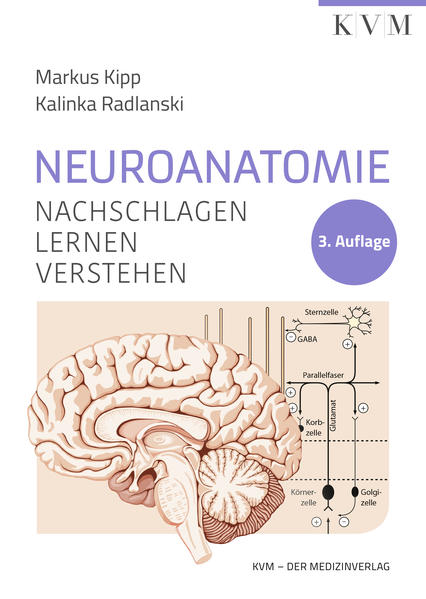 Produktbild: Neuroanatomie | Markus Kipp, Kalinka Radlanski