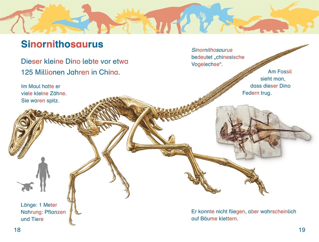Weitere Ansicht: SUPERLESER! Alarm im Dino-Museum | Niki Foreman