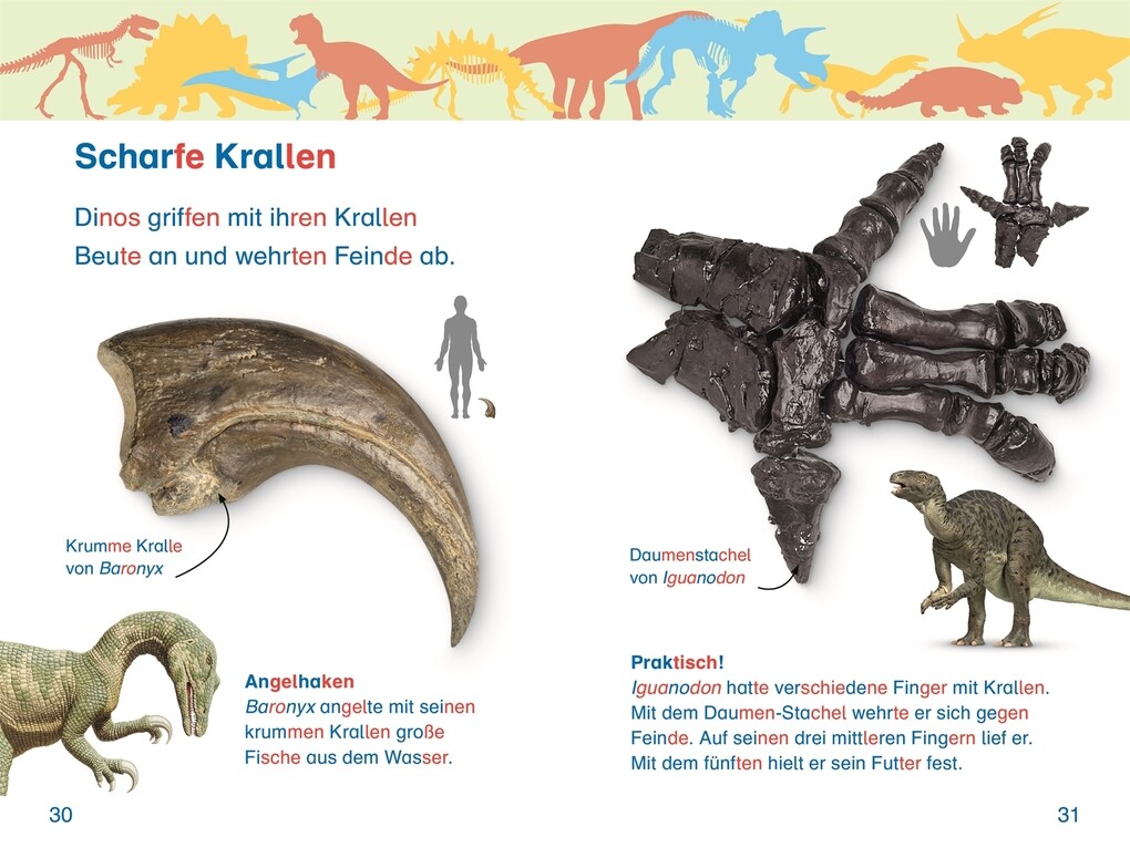Weitere Ansicht: SUPERLESER! Alarm im Dino-Museum | Niki Foreman