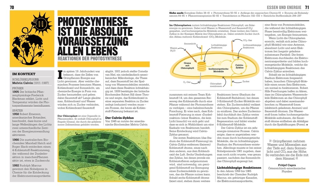 Weitere Ansicht: Big Ideas. Das Biologie-Buch | Derek Harvey, Tom Jackson, Steve Parker, Robert Snedden, Michael Bright