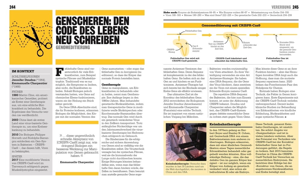 Weitere Ansicht: Big Ideas. Das Biologie-Buch | Derek Harvey, Tom Jackson, Steve Parker, Robert Snedden, Michael Bright