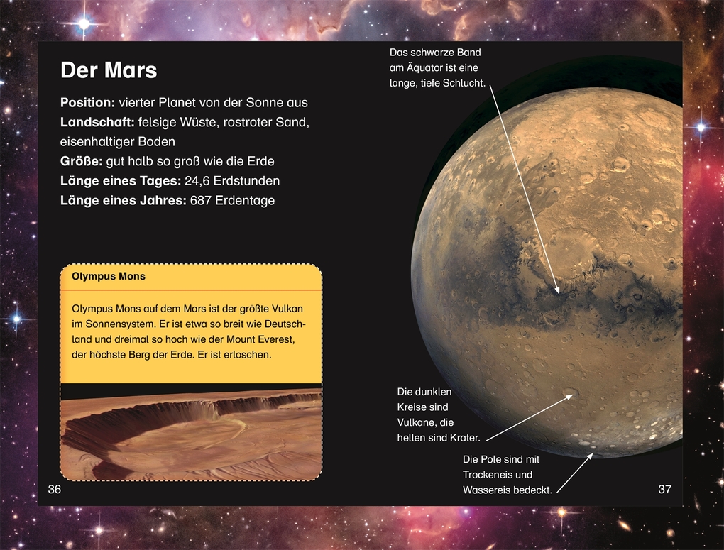 Weitere Ansicht: SUPERLESER! Expedition zum Mars | Peter Lock