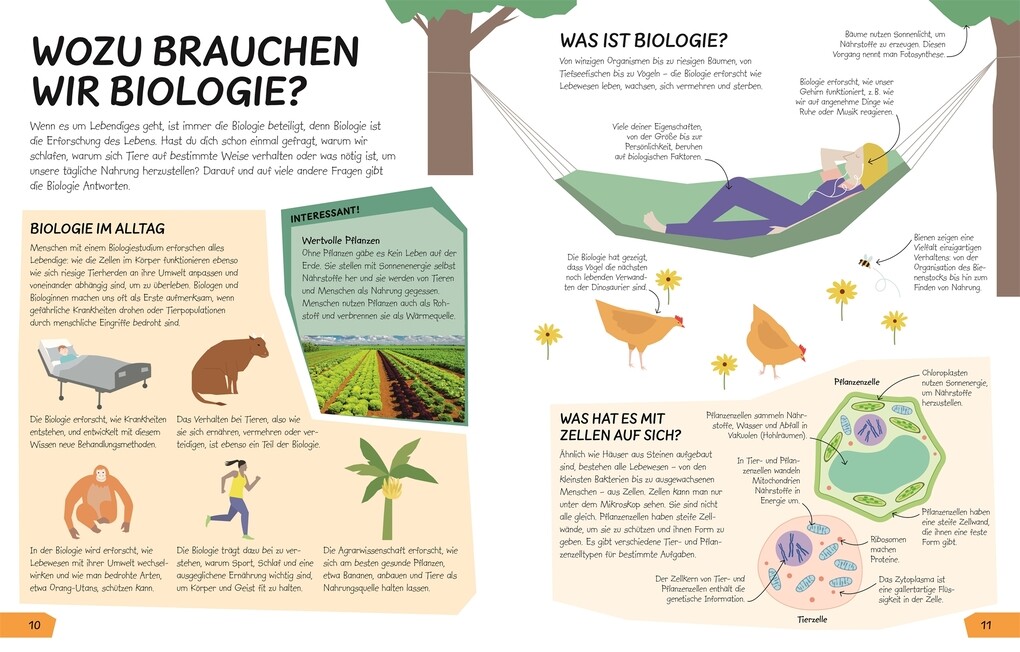 Weitere Ansicht: Wozu eigentlich Naturwissenschaften?