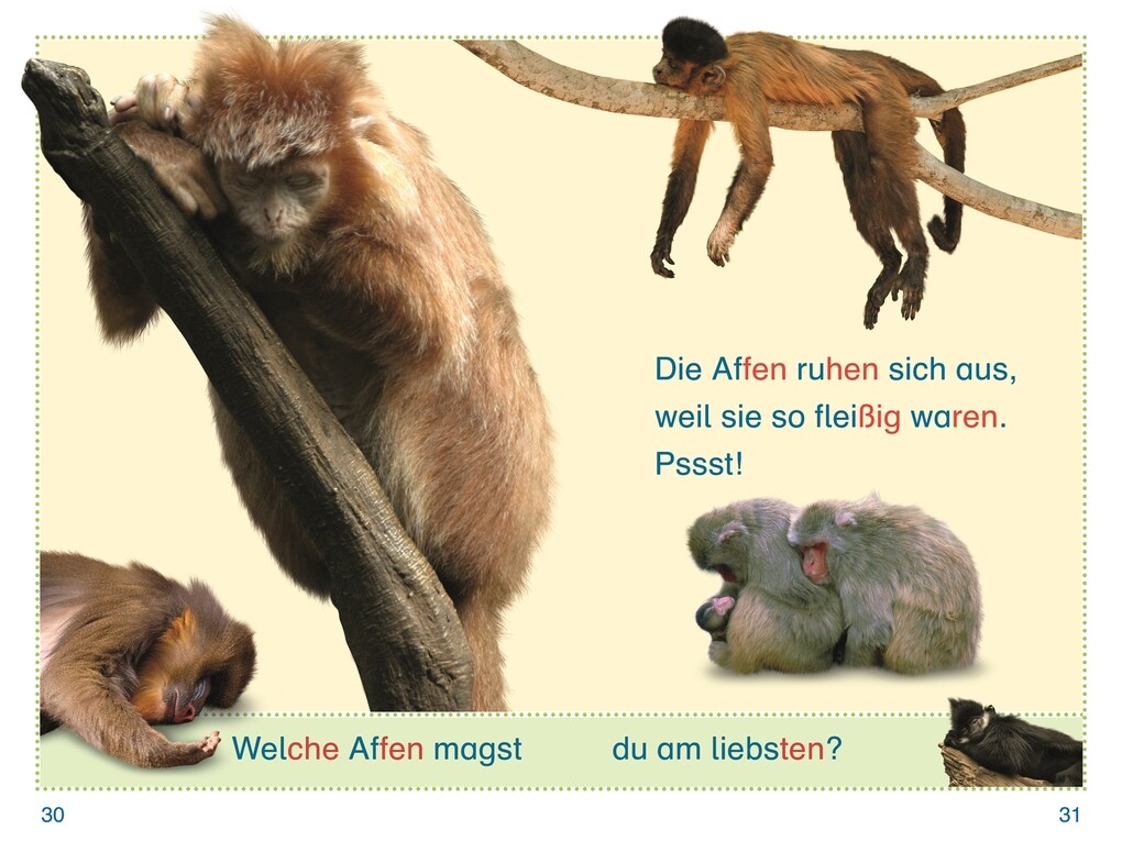Weitere Ansicht: SUPERLESER! Zu Besuch bei den Affen | Elke Sagenschneider