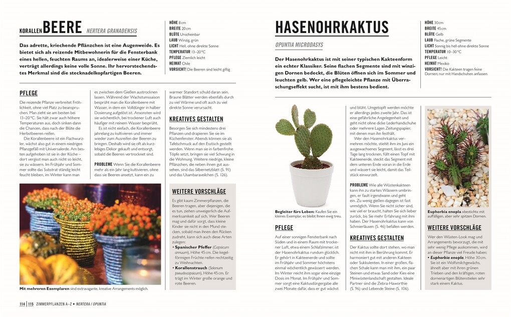 Weitere Ansicht: Grünes Gartenwissen. Die schönsten Zimmerpflanzen | Tamsin Westhorpe