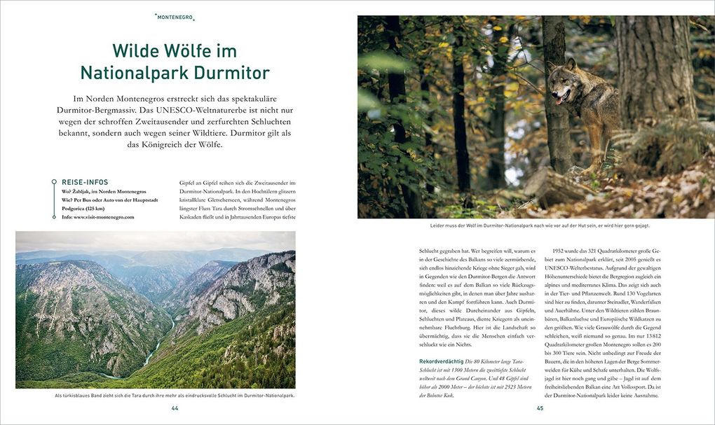 Weitere Ansicht: KUNTH Bildband Safari Europa | Martin H. Petrich