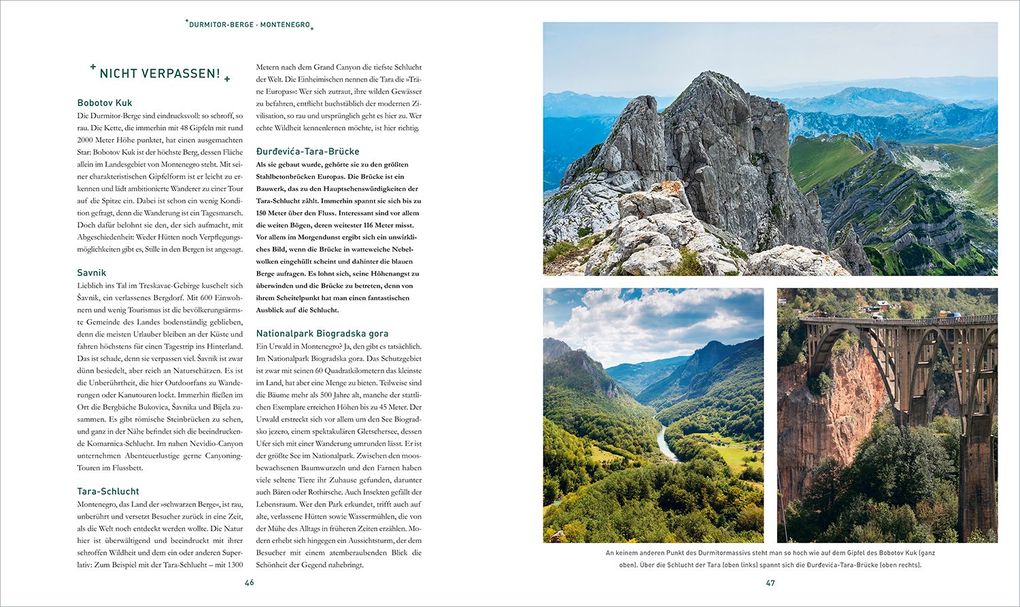 Weitere Ansicht: KUNTH Bildband Safari Europa | Martin H. Petrich