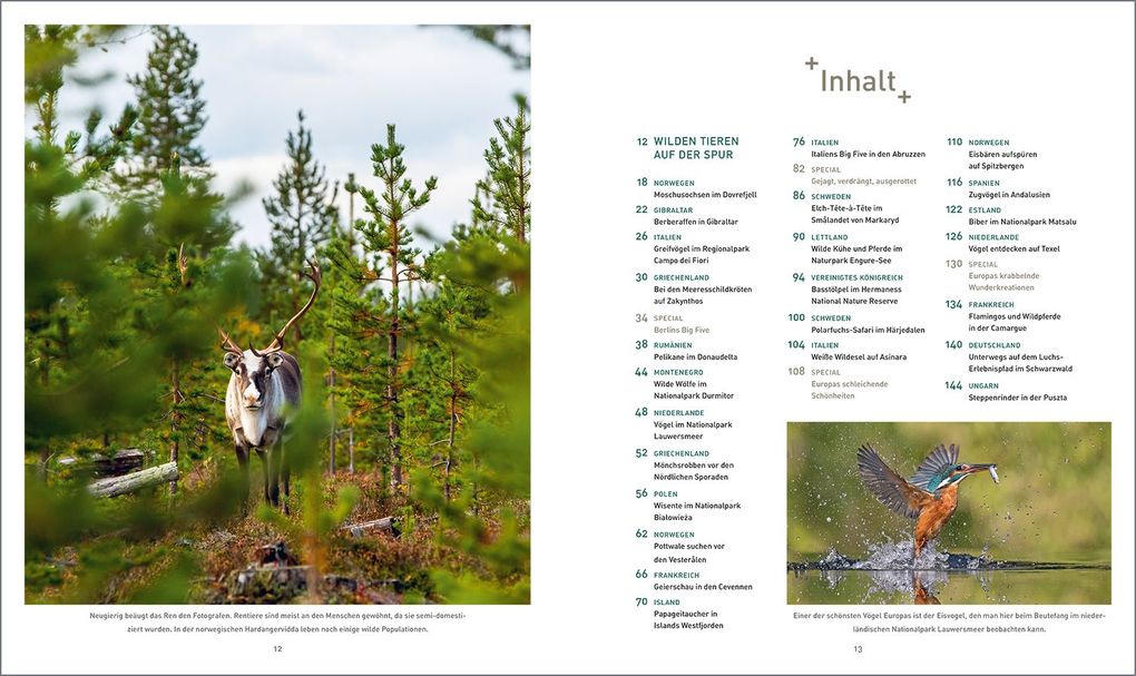 Weitere Ansicht: KUNTH Bildband Safari Europa | Martin H. Petrich