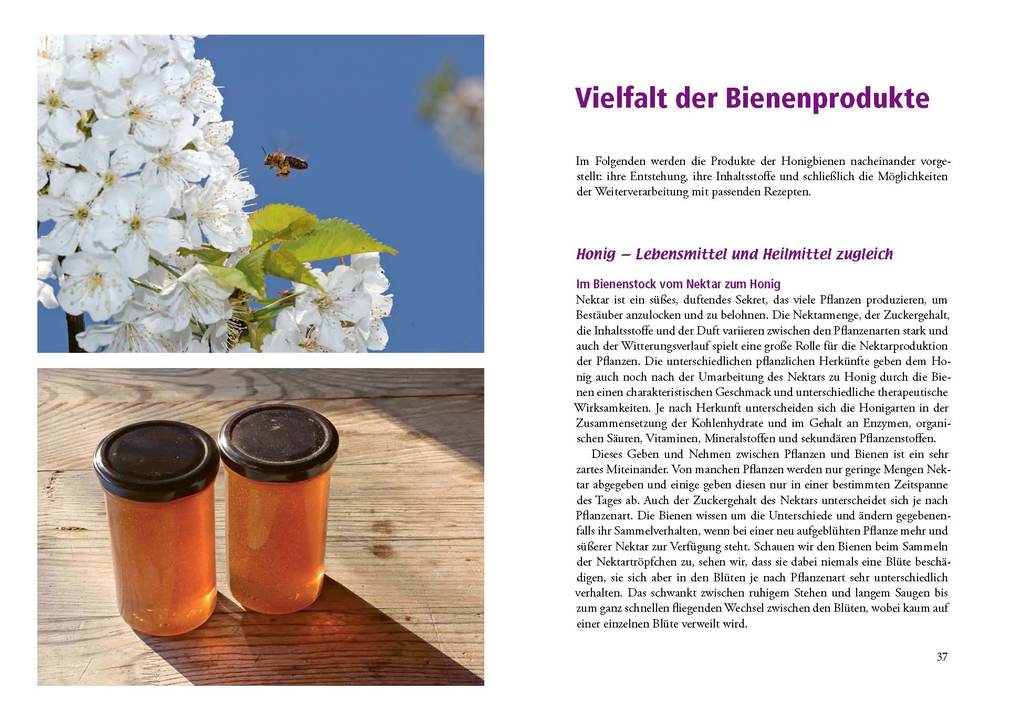Weitere Ansicht: Heilkraft aus dem Bienenstock | Almut Tobis, Norbert Poeplau