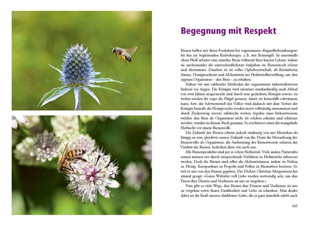 Weitere Ansicht: Heilkraft aus dem Bienenstock | Almut Tobis, Norbert Poeplau