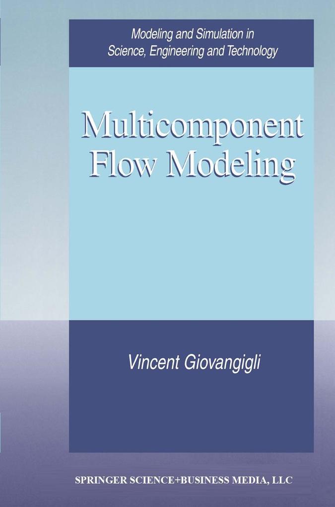 Multicomponent Flow Modeling als Buch (gebunden)