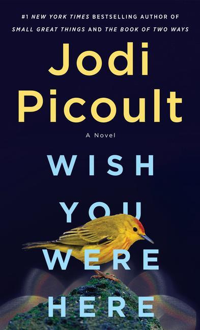 Produktbild: Wish You Were Here | Jodi Picoult