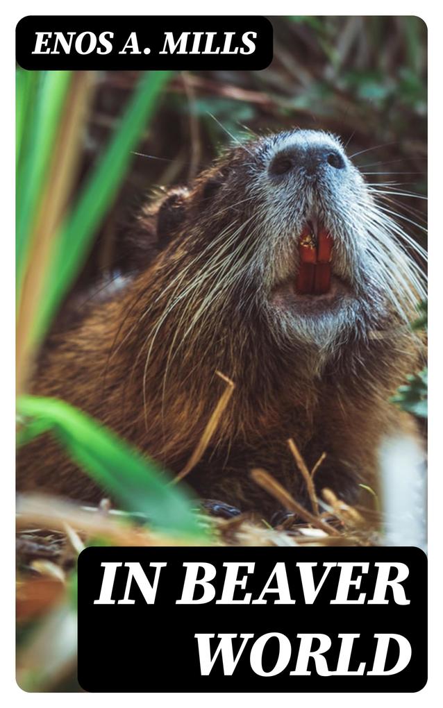 Produktbild: In Beaver World | Enos A. Mills