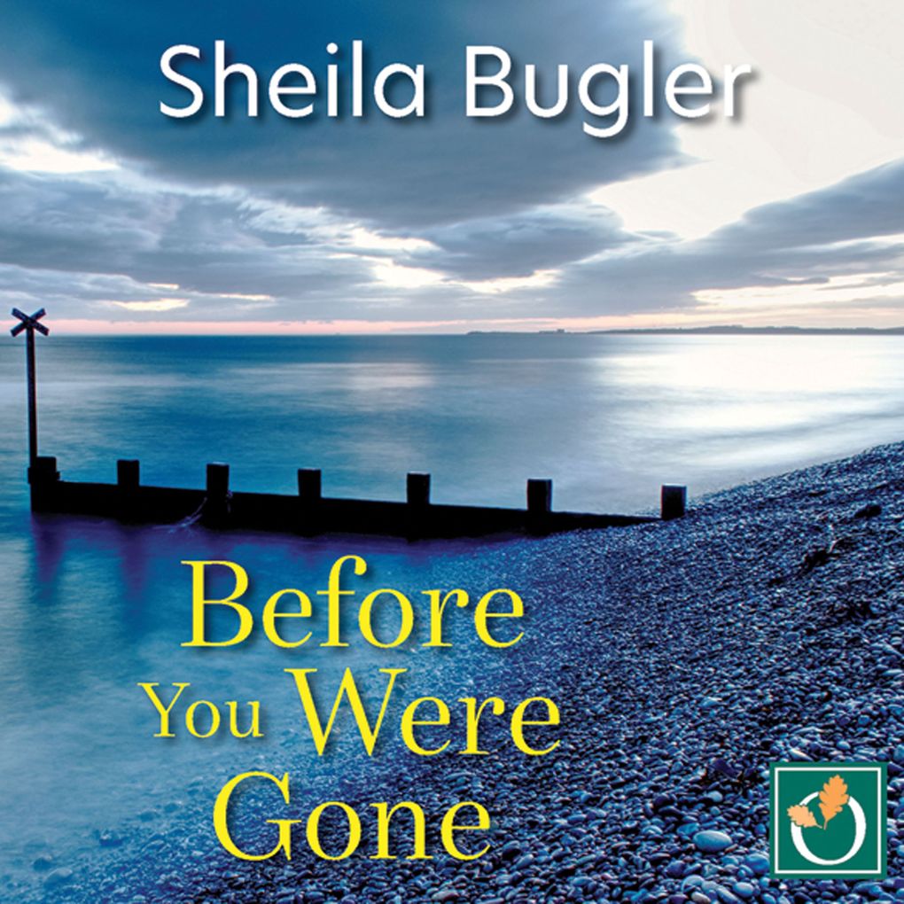 Produktbild: Before You Were Gone | Sheila Bugler