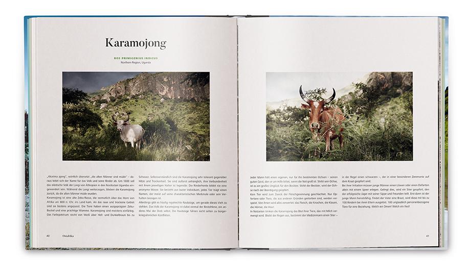 Weitere Ansicht: Die Kuh | Werner Lampert