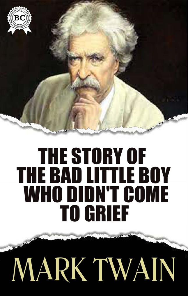 Produktbild: The Story of the Bad Little Boy Who Didn't Come to Grief | Mark Twain