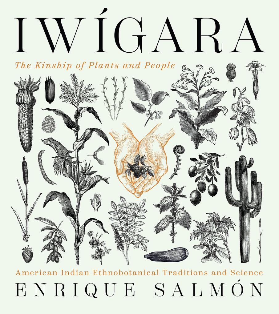Produktbild: Iwigara | Enrique Salmon