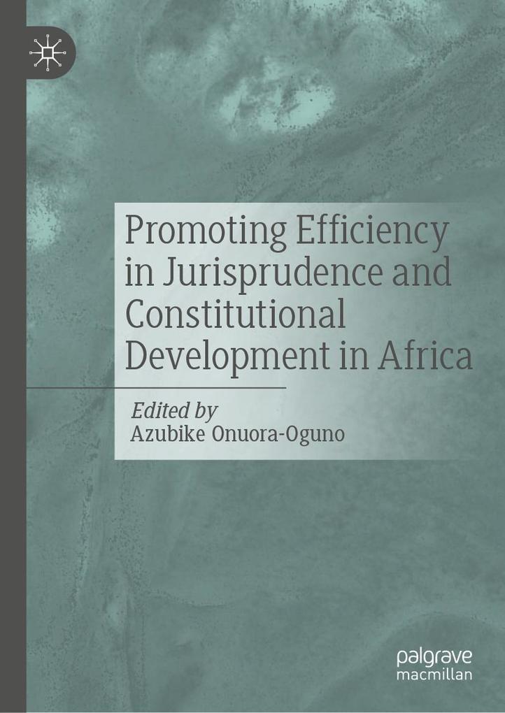 Produktbild: Promoting Efficiency in Jurisprudence and Constitutional Development in Africa