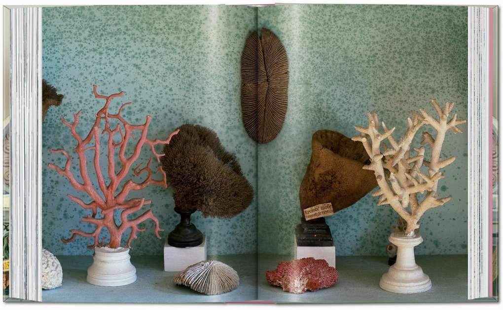 Weitere Ansicht: Massimo Listri. Cabinet of Curiosities. 40th Ed. | Giulia Carciotto, Antonio Paolucci