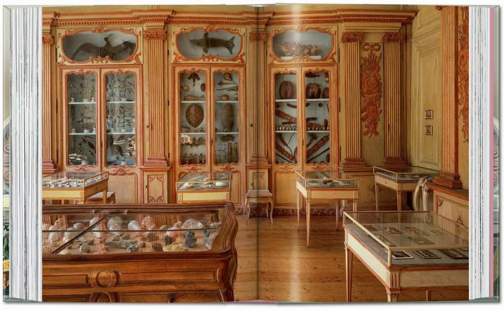 Weitere Ansicht: Massimo Listri. Cabinet of Curiosities. 40th Ed. | Giulia Carciotto, Antonio Paolucci