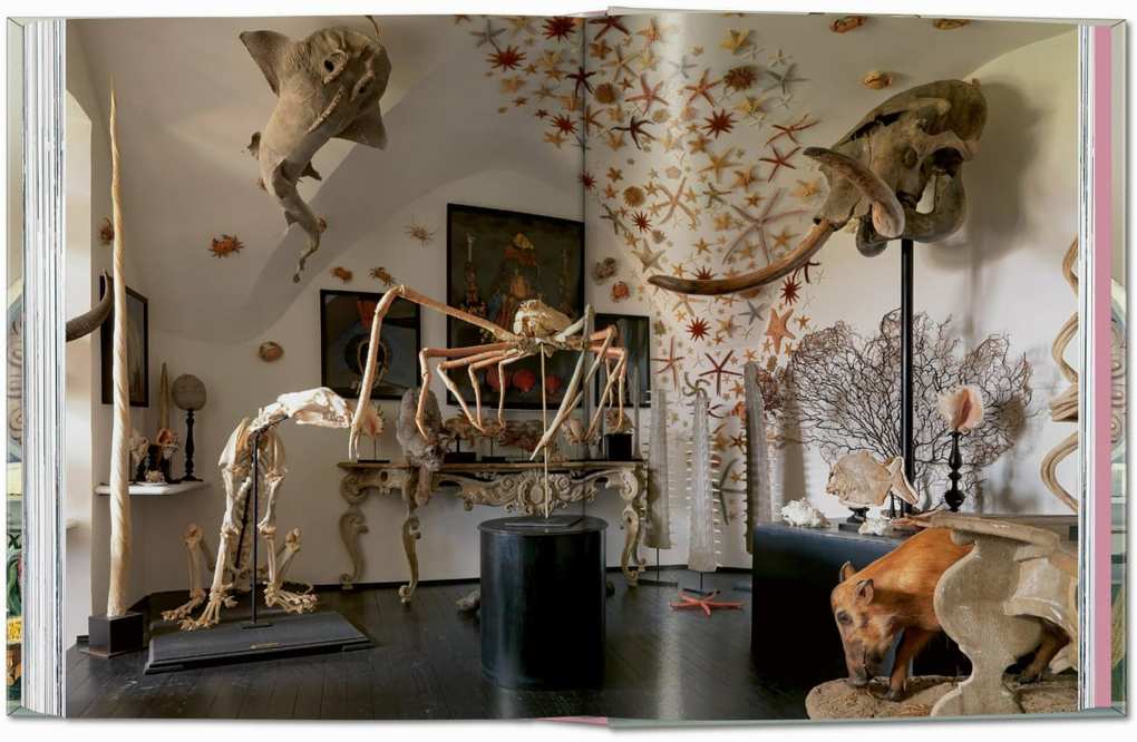 Weitere Ansicht: Massimo Listri. Cabinet of Curiosities. 40th Ed. | Giulia Carciotto, Antonio Paolucci