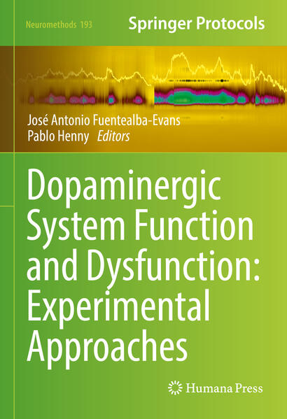 Produktbild: Dopaminergic System Function and Dysfunction: Experimental Approaches