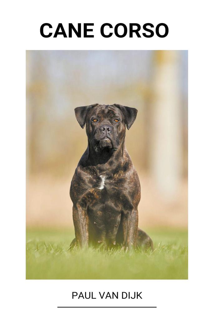 Produktbild: Cane corso | Paul van Dijk