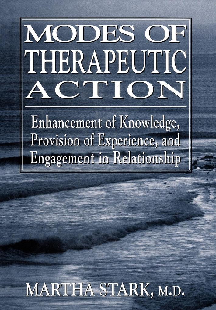 Modes of Therapeutic Action als Buch (gebunden)