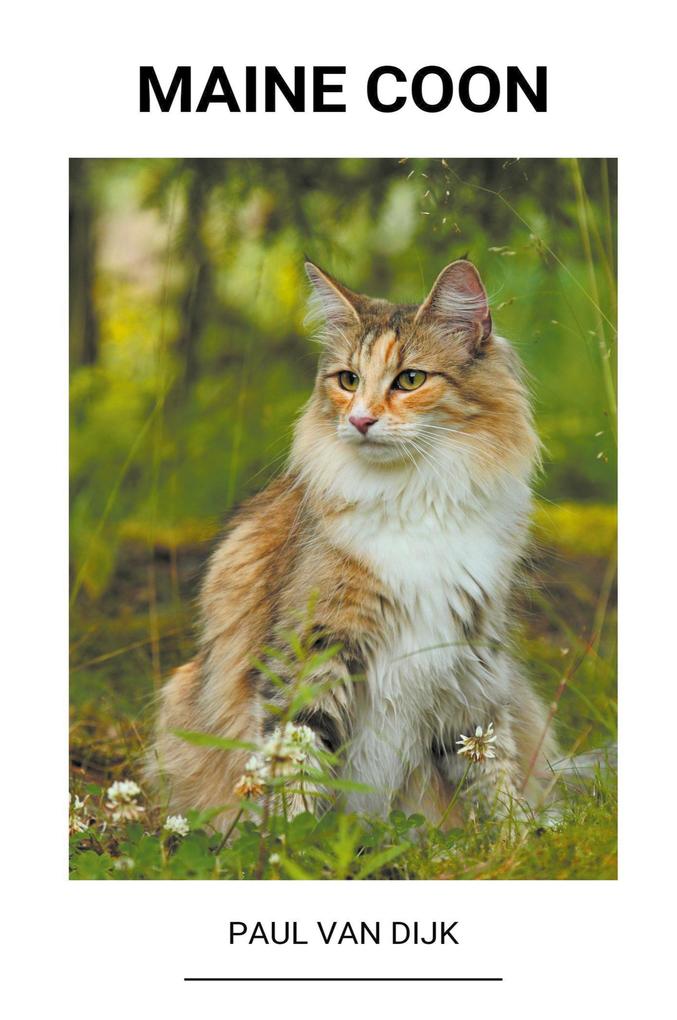 Produktbild: Maine Coon | Paul van Dijk