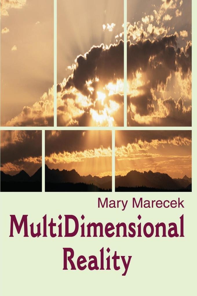 MultiDimensional Reality als Taschenbuch