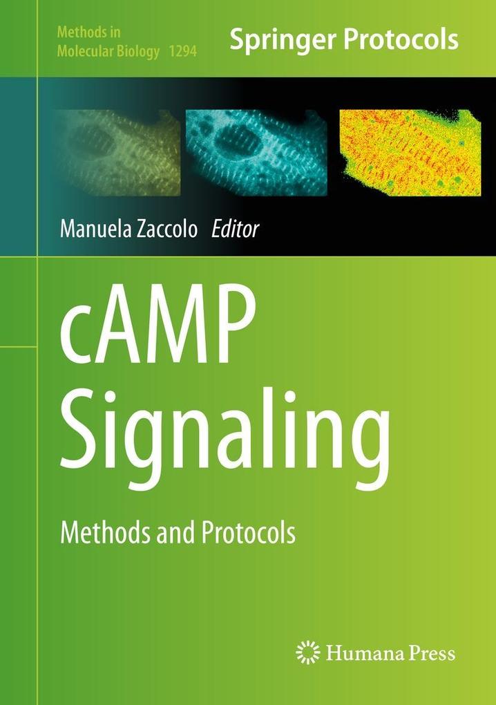 Produktbild: cAMP Signaling