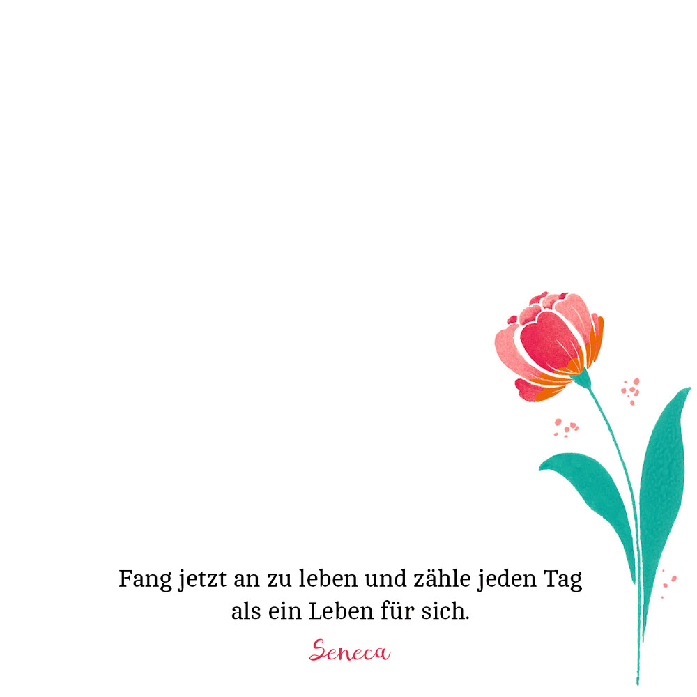 Weitere Ansicht: Zettelkästchen