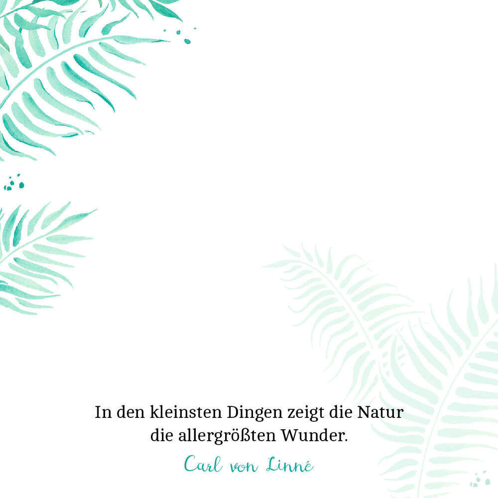 Weitere Ansicht: Zettelkästchen