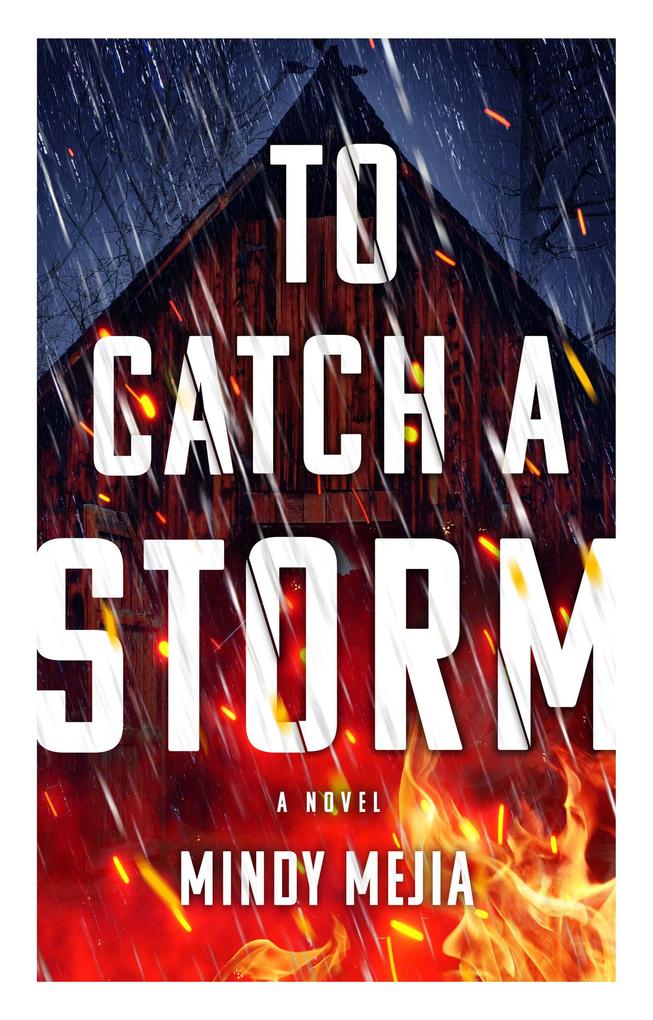 Weitere Ansicht: To Catch a Storm | Mindy Mejia