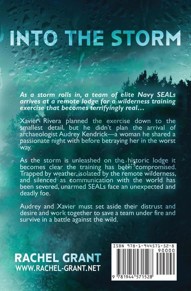 Weitere Ansicht: Into the Storm | Rachel Grant