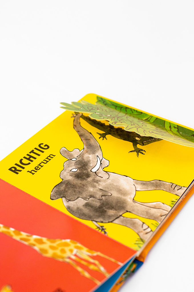 Weitere Ansicht: Roald Dahl - Gegensätze | Roald Dahl
