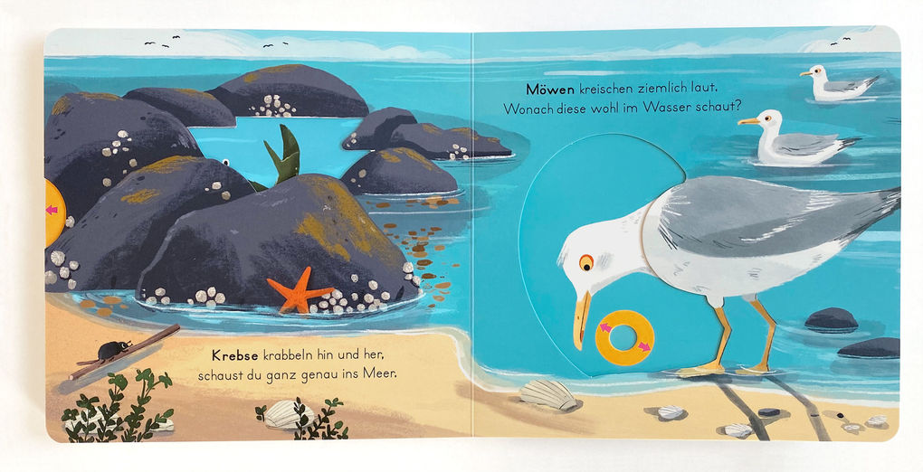 Weitere Ansicht: Komm mit nach draußen! - Tiere am Meer