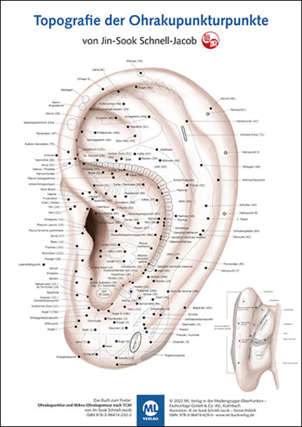 Produktbild: Poster - Topografie der Ohrakupunkturpunkte | Jin-Sook Schnell-Jacob
