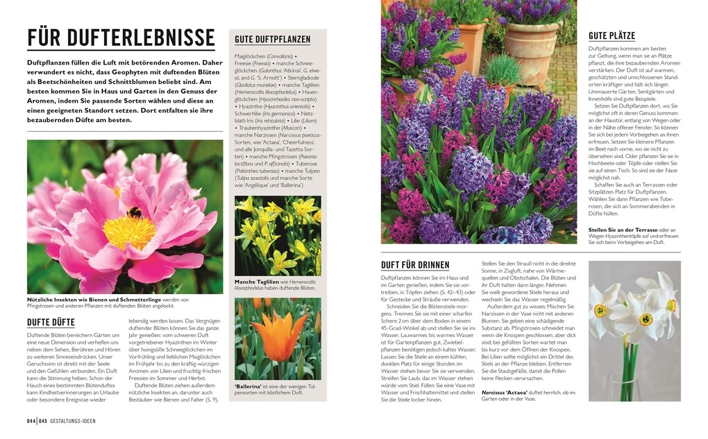 Weitere Ansicht: Grünes Gartenwissen. Zwiebel- und Knollenpflanzen | Stephanie Mahon