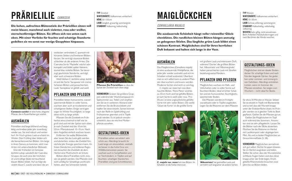 Weitere Ansicht: Grünes Gartenwissen. Zwiebel- und Knollenpflanzen | Stephanie Mahon