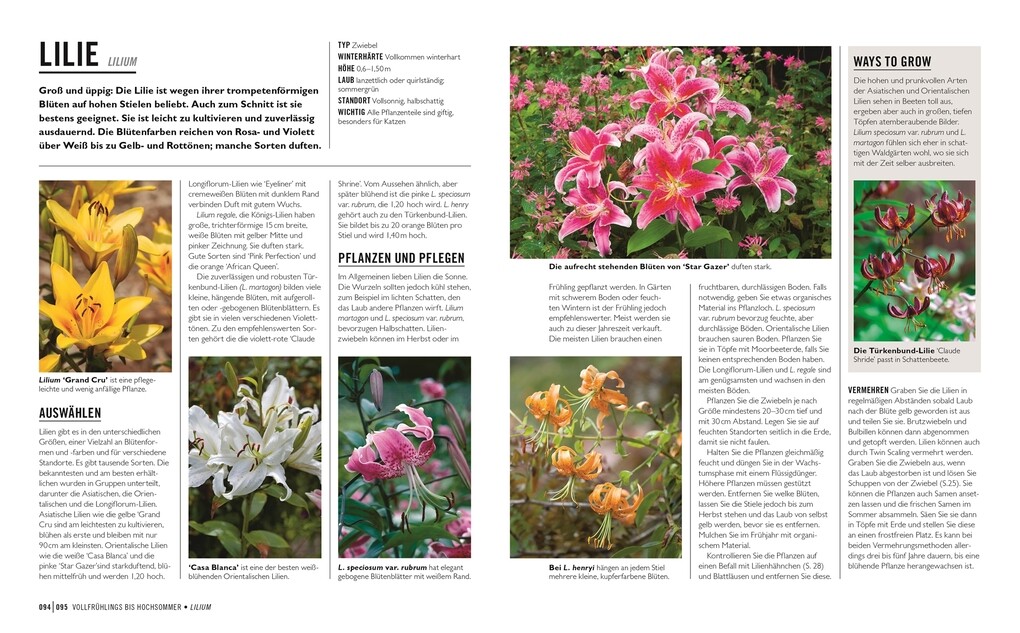 Weitere Ansicht: Grünes Gartenwissen. Zwiebel- und Knollenpflanzen | Stephanie Mahon