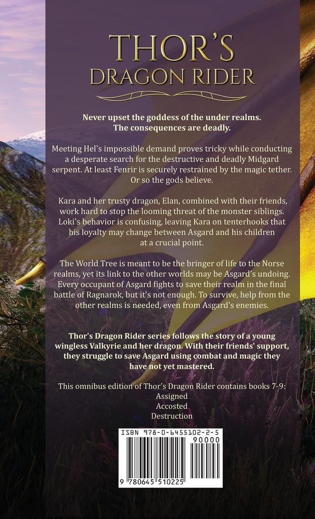 Weitere Ansicht: Thor's Dragon Rider | Katrina Cope