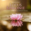 Lotus Sinfonie
