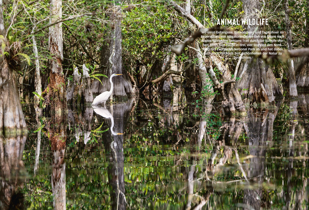 Weitere Ansicht: DUMONT Bildatlas Florida | Ole Helmhausen