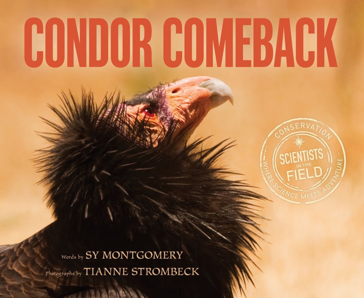 Produktbild: Condor Comeback | Sy Montgomery