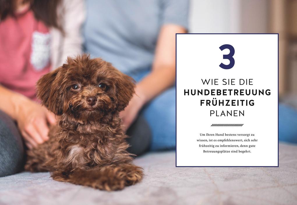 Weitere Ansicht: Wohin mit meinem Hund? | Ursula Kufner