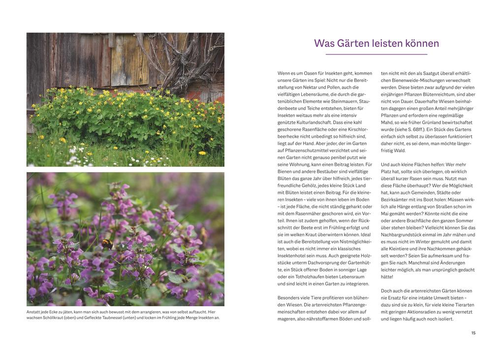 Weitere Ansicht: Bienenfreundlich Gärtnern | Katrin Lugerbauer